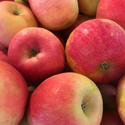 Profile Picture of Howard’s Apples (@howardsapples) on Twitter