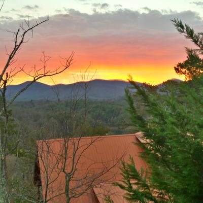 Profile Picture of Michael Jaber (@mjaberads) on Twitter