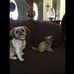 Profile Picture of William Raley (@william.raley.77) on Facebook
