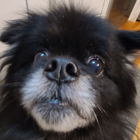 Profile Picture of Dylan Hitt (@waserof) on Poshmark