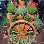 Profile Picture of Lori-Anne Belluscio (@bellusciol) on Instagram