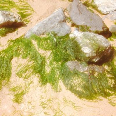Profile Picture of Angela Gruenberg (@GruenbergAngela) on Twitter