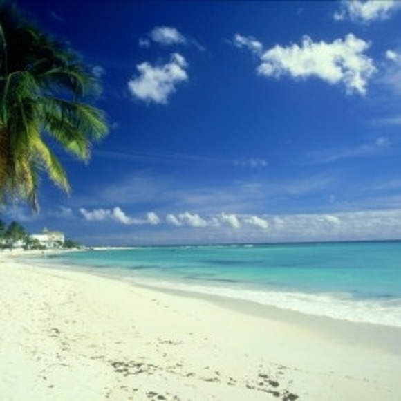 Profile Picture of Pauline Grabowski (@p_grabowski) on Poshmark