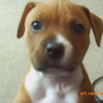 Profile Picture of Kieron James Staton (@killakaje) on Twitter