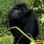 Profile Picture of Allison Feinberg Bass (@allison.bass2) on Facebook