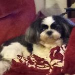 Profile Picture of Bill Warnock (@bill.warnock.395) on Facebook