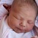 Profile Picture of LUCILLE PORTER (@lucyporterrrrr) on Pinterest