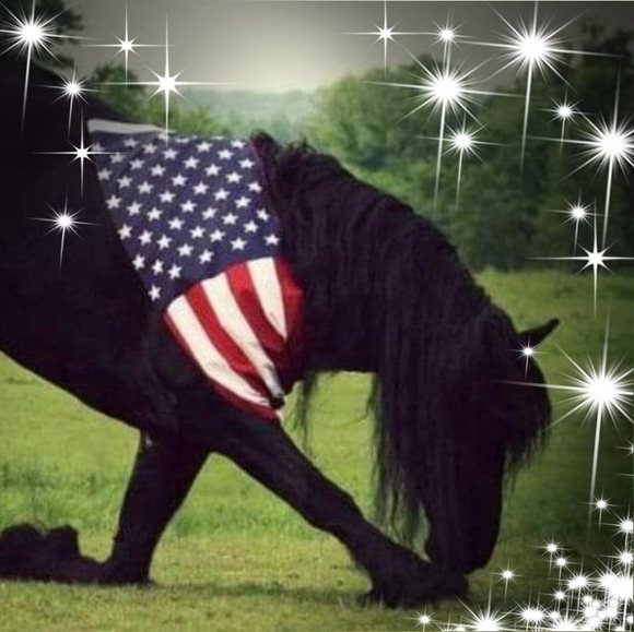 Profile Picture of Ruth Cox (@racing0713) on Poshmark