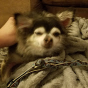 Profile Picture of Kevin Henry (@KevinHenry-ks7iv) on Youtube