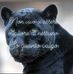 Profile Picture of Giuseppe Barracano (@Giuseppe-Barracano) on Facebook