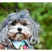 Profile Picture of Aimee Jacobson (@kavitha6) on Pinterest