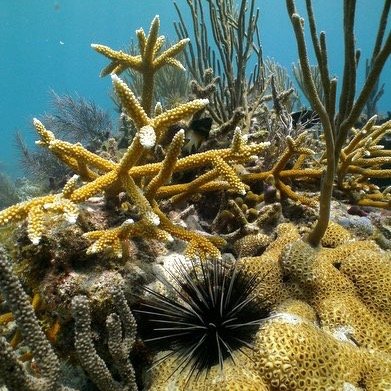 Patti Kirk Gross - Twitter Profile Picture of Patti Kirk Gross (@h2ovideo) on Twitter