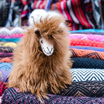 Profile Picture of Robert Steve Zapata (@robert steve zapata) on Flickr