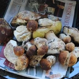 Profile Picture of Gloria Mcfarland (@associavueni) on Twitter