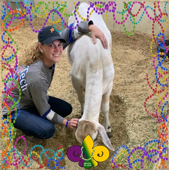 Profile Picture of Amanda Branham (@amanda_branham) on Poshmark