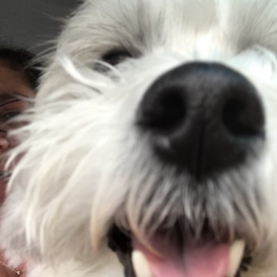 Profile Picture of Jean Andersen (@jeanbean_mommy) on Twitter