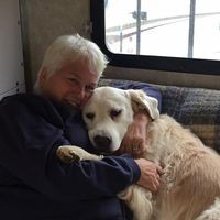 Profile Picture of Chris Miele (@chris-miele-9) on Quora