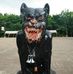 Profile Picture of Mark Murdock (@mark.murdock.39395) on Facebook