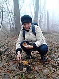 Profile Picture of Mushroom hunting - Wikipediaon Wikipedia