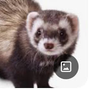 Profile Picture of Brayden James (@BraydenJames94) on Youtube