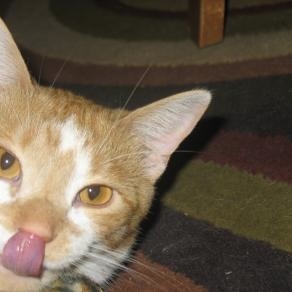 Stacy Bloom - Myspace Profile Picture of Stacy Bloom (@stizzleblizzle) on Myspace