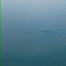 Profile Picture of Lorenzo Tano Mielto (@lorenzotano2001) on Twitter