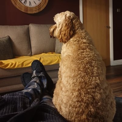 Profile Picture of Mike Carty (@MjCarty86) on Twitter
