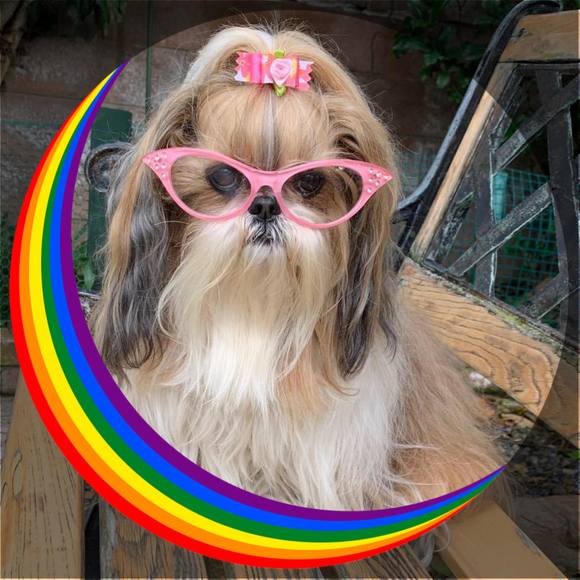 Profile Picture of Sherry Skipper-spurgeon (@photogsherry) on Poshmark