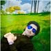 Profile Picture of Mohammad Shahid (@Mohammad-Shahid) on Facebook