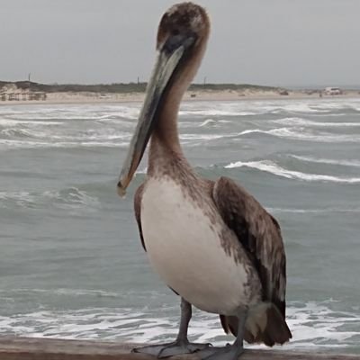 Profile Picture of John Dankleff (@JDankleff) on Twitter
