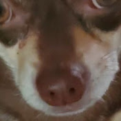 Profile Picture of Joshua Armstrong (@joshuaarmstrong6540) on Youtube