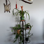 Profile Picture of Fadi Khoury (@fadikhoury6256) on Youtube