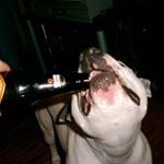 Profile Picture of Sean Lantry (@lantry0720) on Pinterest