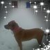 Profile Picture of Kim Payton Karhoff (Kimberly K. Payton) (@kim.p.karhoff) on Facebook