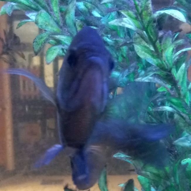 Profile Picture of Matthew Muhe (@matthewmuhe) on Tiktok