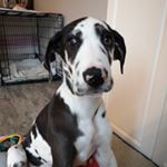 Profile Picture of Jon Grenier (@grenier_jon) on Instagram