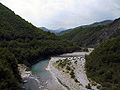 Profile Picture of Trebbiaon Wikipedia