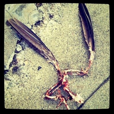 Profile Picture of Matt Kellner (@mattkellner) on Twitter