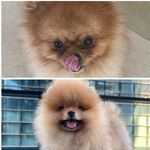 Profile Picture of Daniela Persavalli (@dany_juve_2_) on Instagram