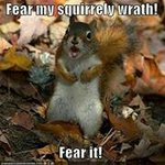 Profile Picture of Melissa Shade (@squirrelturd80) on Instagram