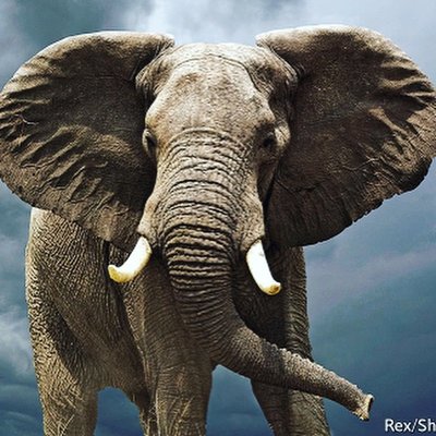 Profile Picture of Paige Stamps (@850paige) on Twitter