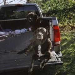 Profile Picture of bryanpelfrey516 (@bryanpelfrey516) on Tiktok