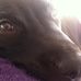Profile Picture of Sheldon Carver Deakins (@sheldon.carverdeakins) on Facebook