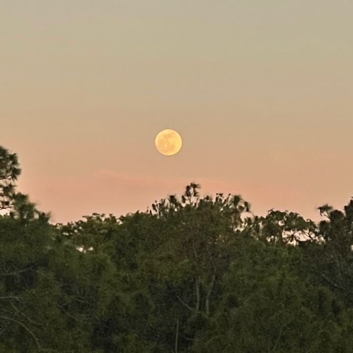 Profile Picture of amy (@amytomasko) on Tiktok