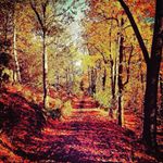 Christopher - Instagram Profile Picture of Christopher (@chris_lundblad) on Instagram