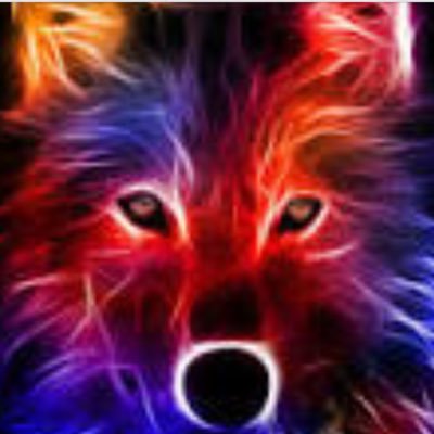 Profile Picture of AndrewTrinh (@AndrewTrinh645) on Twitter