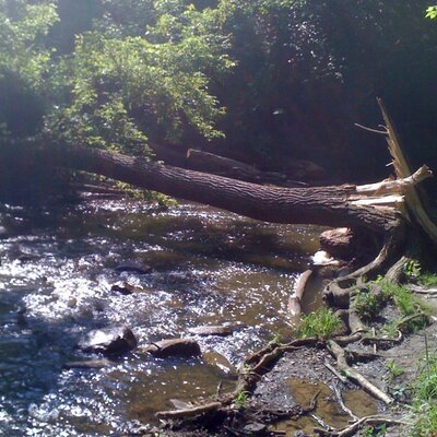 Profile Picture of Joe Cerny (@macfalcon79) on Twitter