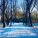 Profile Picture of Josh Chapman (@chapmanjoshua47) on Flickr