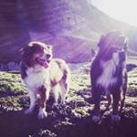 Profile Picture of Ruby & Posey (@ruby.n.posey) on Instagram