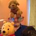 Profile Picture of Keith Barrell (@keith.barrell.9) on Facebook
